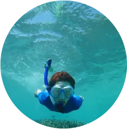 snorkelling